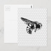 Zwarte en witte bijen briefkaart (Voorkant / Achterkant)