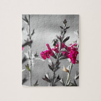 Zwarte en witte bijen legpuzzel