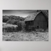 Zwarte en witte bijtende Barn Poster (Voorkant)
