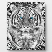 Zwarte en witte blauwe ogen wild tijgergezicht fotoplaat (Voorkant)