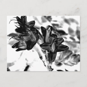 Zwarte en witte bloem briefkaart