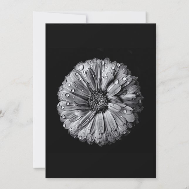 Zwarte en witte bloemen 10 (Voorkant)