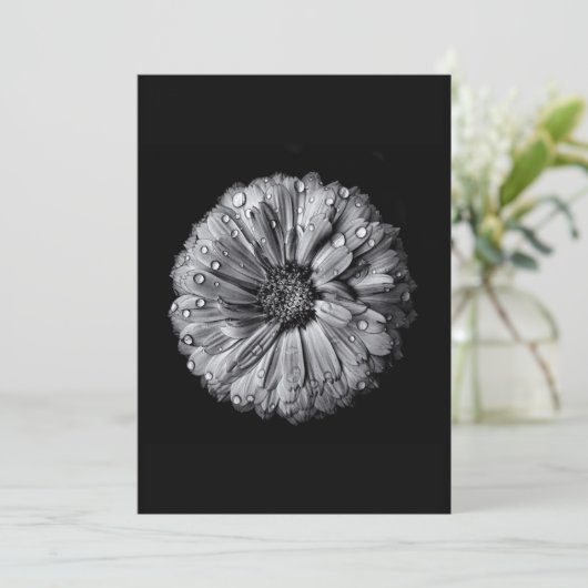 Zwarte en witte bloemen 10 (Staand voorkant)