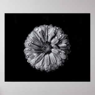 Zwarte en witte bloemen 10 poster