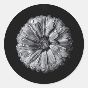 Zwarte en witte bloemen 10 ronde sticker