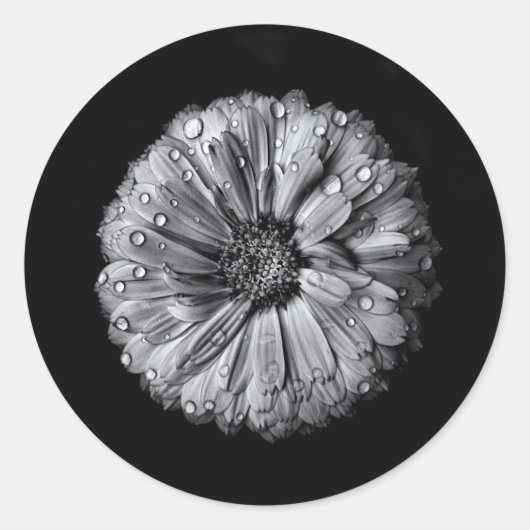 Zwarte en witte bloemen 10 ronde sticker (Voorkant)