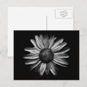Zwarte en witte bloemen 18 briefkaart (Voorkant / Achterkant)