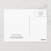 Zwarte en witte bloemen 18 briefkaart (Achterkant)