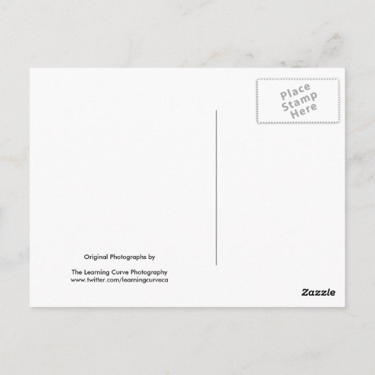 Zwarte en witte bloemen 18 briefkaart (Achterkant)