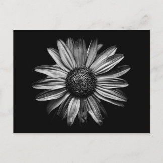Zwarte en witte bloemen 18 briefkaart