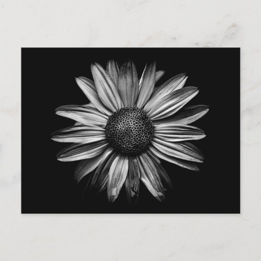 Zwarte en witte bloemen 18 briefkaart (Voorkant)