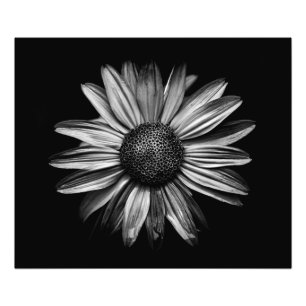 Zwarte en witte bloemen 18 foto afdruk