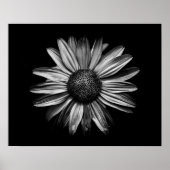 Zwarte en witte bloemen 18 poster (Voorkant)