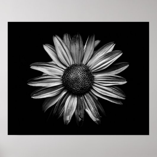 Zwarte en witte bloemen 18 poster (Voorkant)