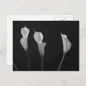 Zwarte en witte bloemen briefkaart (Voorkant / Achterkant)