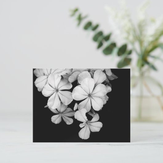 Zwarte en witte bloemen briefkaart (Staand voorkant)