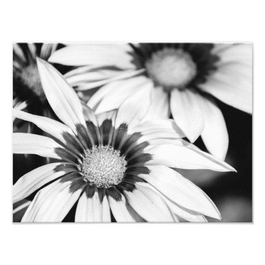 Zwarte en witte bloemen foto afdruk (Voorkant)
