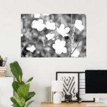 Zwarte en witte bloemen Moderne kunstfoto's