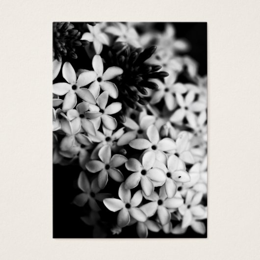 Zwarte en witte bloemen visitekaartje (Voorkant)