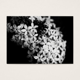 zwarte en witte bloemen visitekaartje