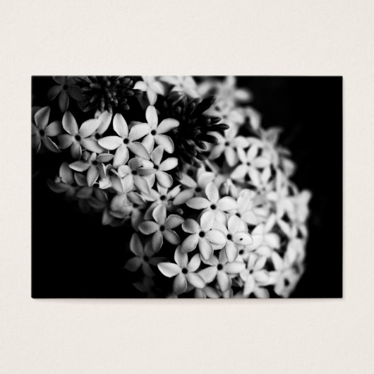 zwarte en witte bloemen visitekaartje (Voorkant)