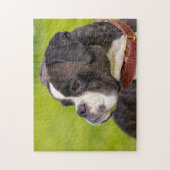 Zwarte en witte bokshond legpuzzel (Verticaal)