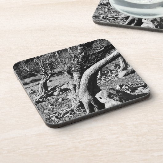 ZWARTE EN WITTE BOMEN BIER ONDERZETTER (Linkerzijde)