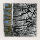 Zwarte en witte bomen Blauwe waterreflectie Legpuzzel (Horizontaal)