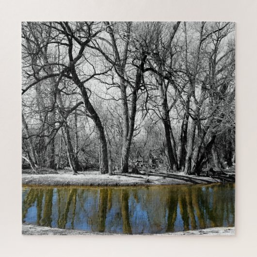 Zwarte en witte bomen Blauwe waterreflectie Legpuzzel (Verticaal)