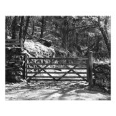 ZWARTE EN WITTE BOMEN EN GATE FOTO AFDRUK (Voorkant)