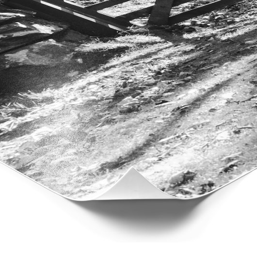 ZWARTE EN WITTE BOMEN EN GATE FOTO AFDRUK (Hoek)