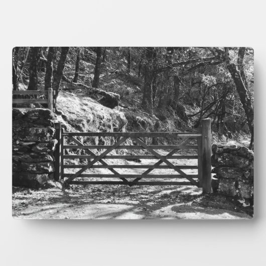 ZWARTE EN WITTE BOMEN EN GATE FOTOPLAAT (voorkant)