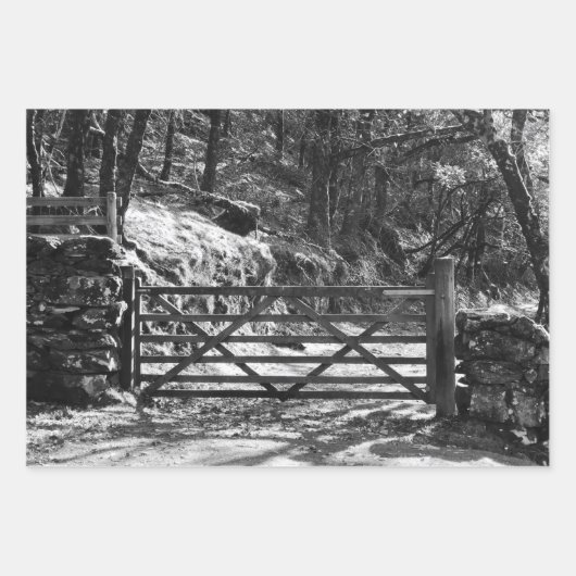 ZWARTE EN WITTE BOMEN EN GATE INPAKPAPIER VEL (Voorkant)