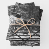 ZWARTE EN WITTE BOMEN EN GATE INPAKPAPIER VEL (In situ)