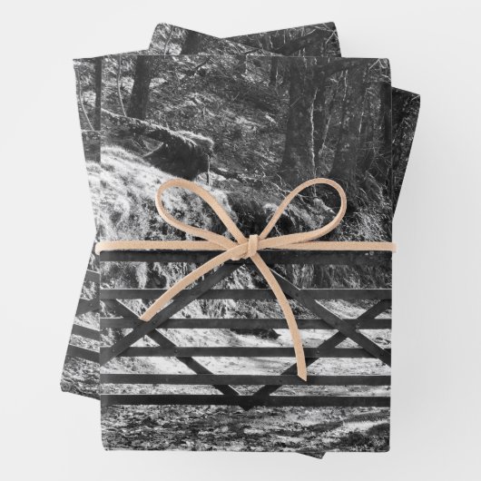 ZWARTE EN WITTE BOMEN EN GATE INPAKPAPIER VEL (In situ)