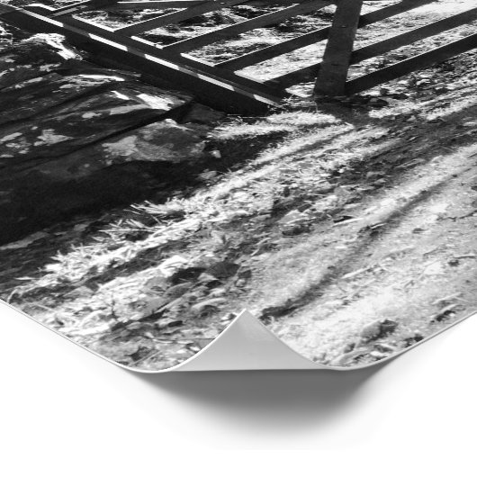 ZWARTE EN WITTE BOMEN EN GATE LANDSCHAP POSTER (Hoek)