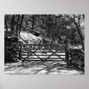 ZWARTE EN WITTE BOMEN EN GATE LANDSCHAP POSTER