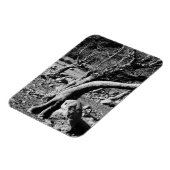 ZWARTE EN WITTE BOMEN MAGNEET (Linkerzijde)