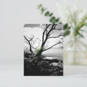 Zwarte en witte bomen met groene wijnstokken briefkaart (Staand voorkant)