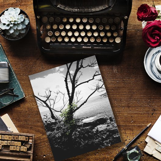 Zwarte en witte bomen met groene wijnstokken briefkaart