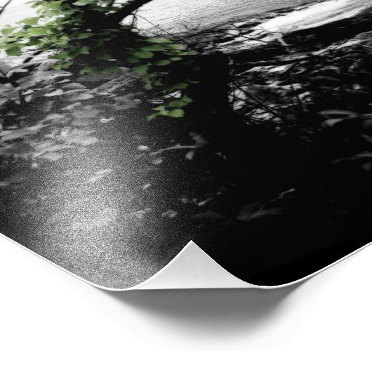 Zwarte en witte bomen met groene wijnstokken foto afdruk (Hoek)