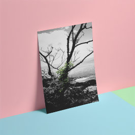 Zwarte en witte bomen met groene wijnstokken foto afdruk