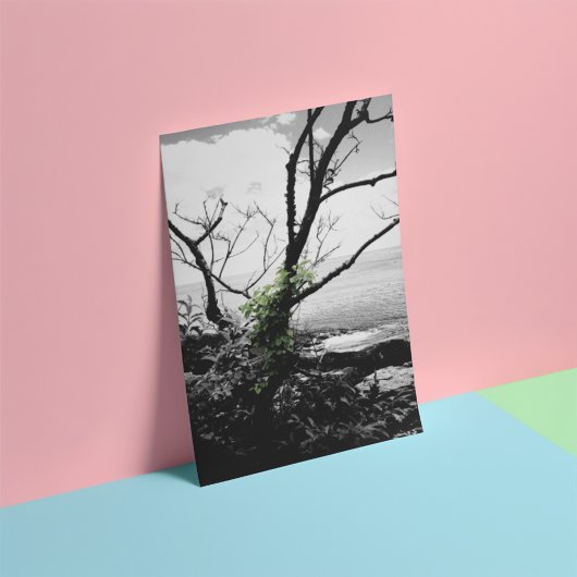 Zwarte en witte bomen met groene wijnstokken foto afdruk