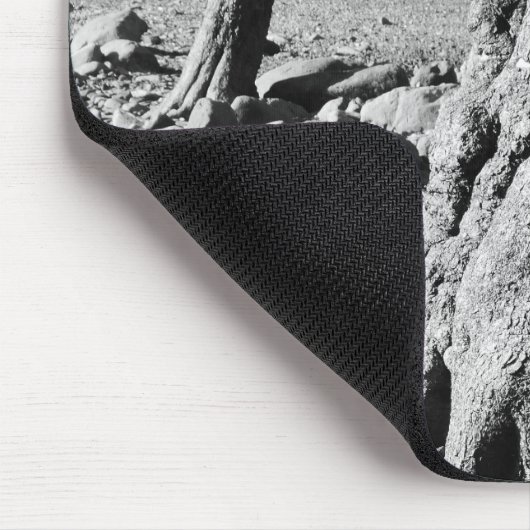 ZWARTE EN WITTE BOMEN MUISMAT (Hoek)