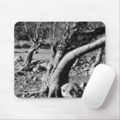 ZWARTE EN WITTE BOMEN MUISMAT (Met muis)