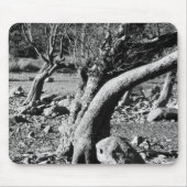 ZWARTE EN WITTE BOMEN MUISMAT (Voorkant)