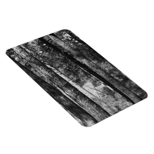 zwarte en witte bomen overal magneet (Rechterzijde)