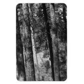 zwarte en witte bomen overal magneet (Verticaal)