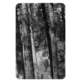 zwarte en witte bomen overal magneet