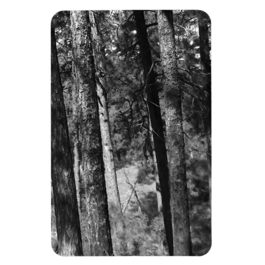 zwarte en witte bomen overal magneet (Verticaal)